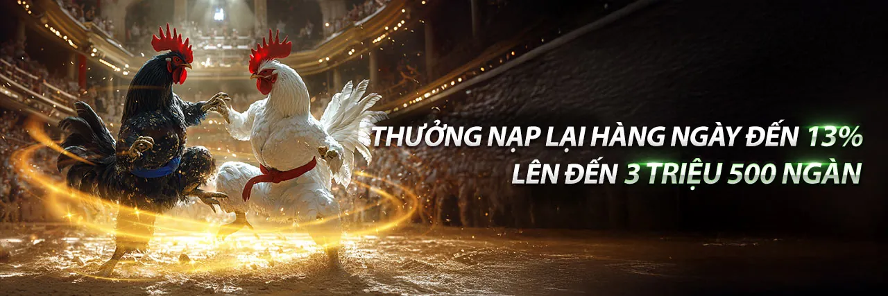 Đá Gà Trực Tuyến acb888 apk